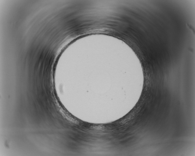 X0000103500792200810241124