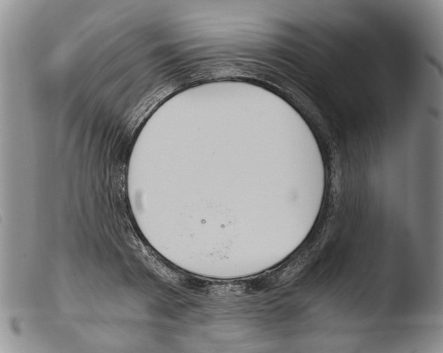 X0000103500793200810241124