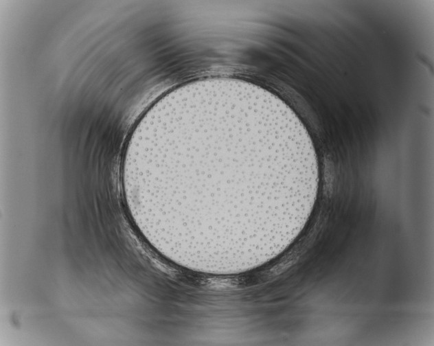 X0000103500794200810241124