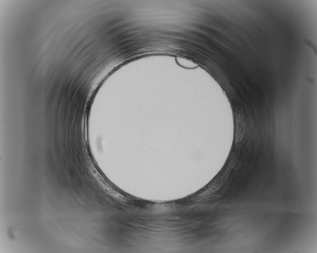 X0000103500796200810241124