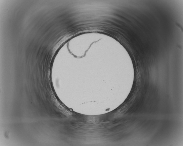 X0000103500797200810241124