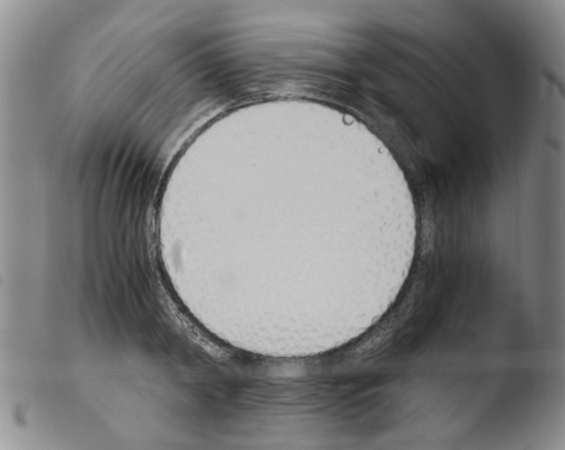 X0000103500798200810241124