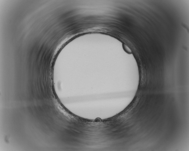 X0000103500800200810241124