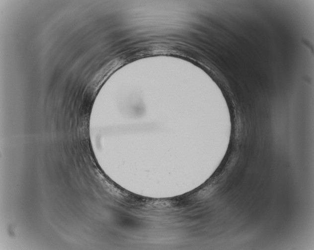 X0000103500801200810241124