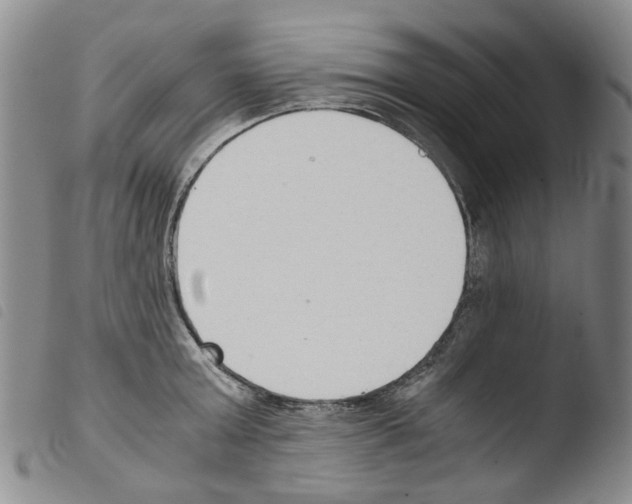 X0000103500803200810241124