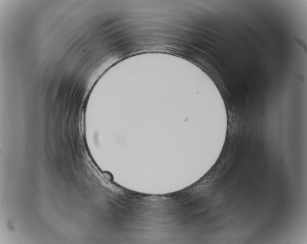 X0000103500804200810241124