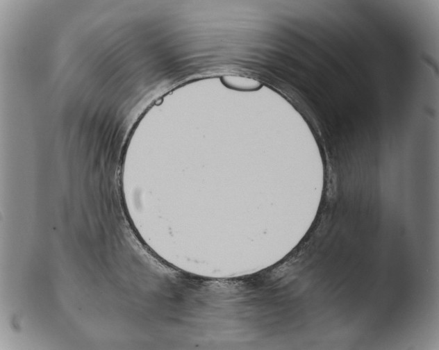 X0000103500805200810241124