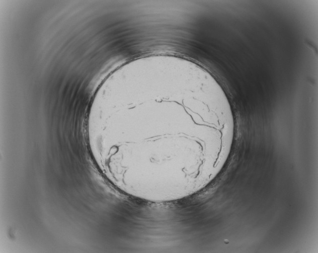 X0000103500806200810241124