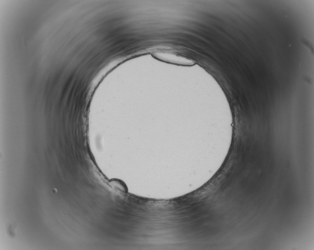 X0000103500808200810241123