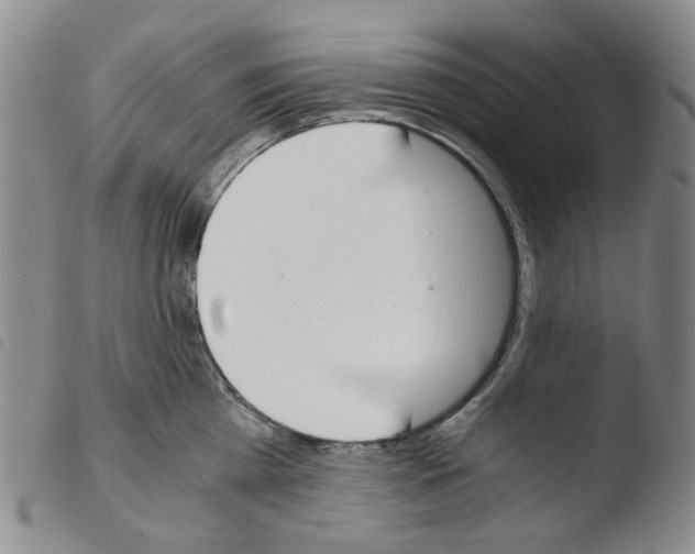 X0000103500809200810241123