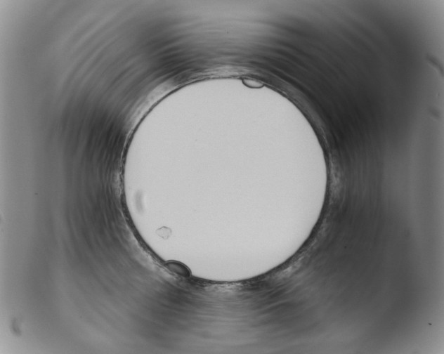 X0000103500810200810241123