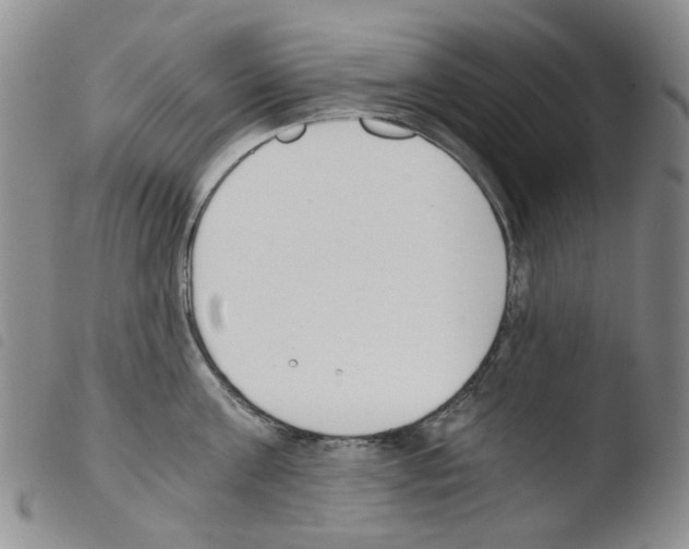 X0000103500811200810241123