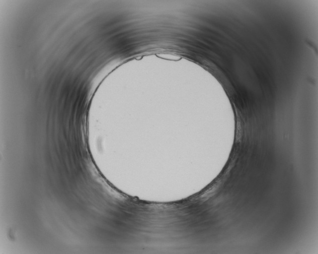 X0000103500812200810241123