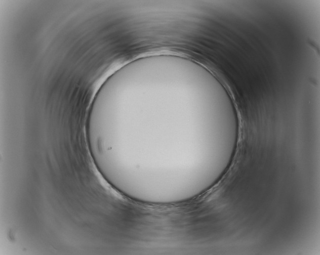 X0000103500813200810241123