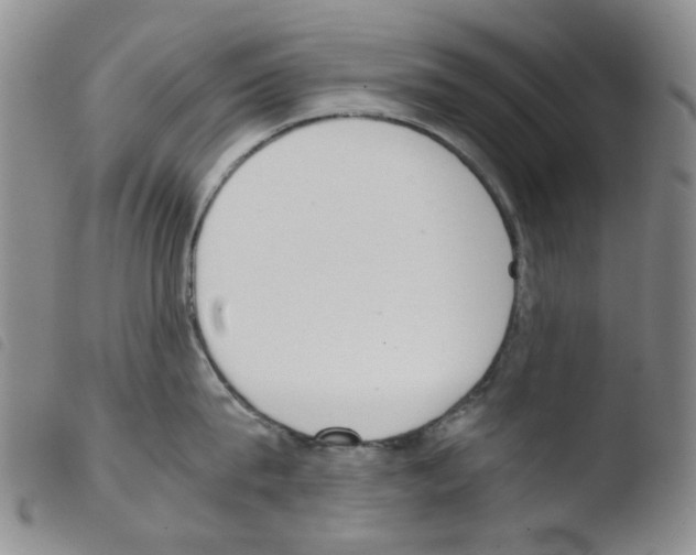 X0000103500815200810241123