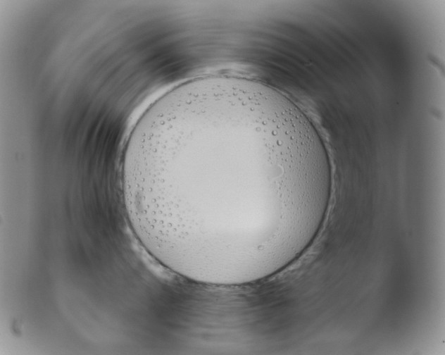 X0000103500816200810241123