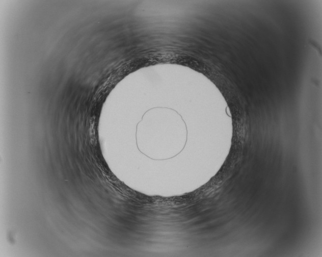 X0000103500818200810241123