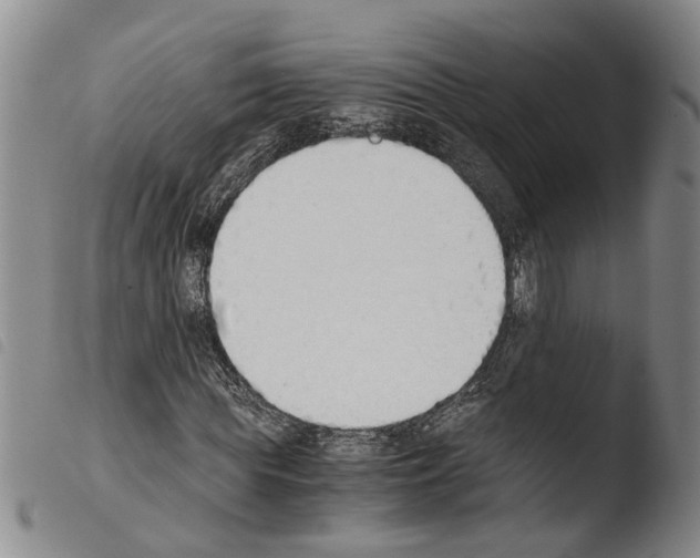 X0000103500819200810241123