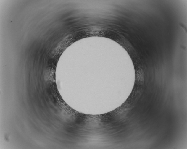 X0000103500820200810241123