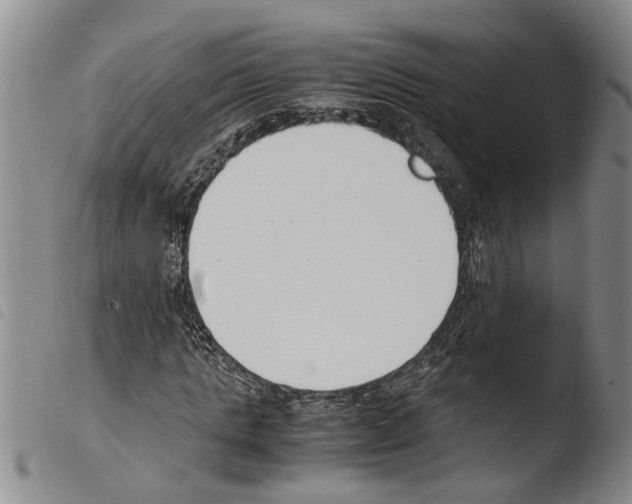 X0000103500821200810241123