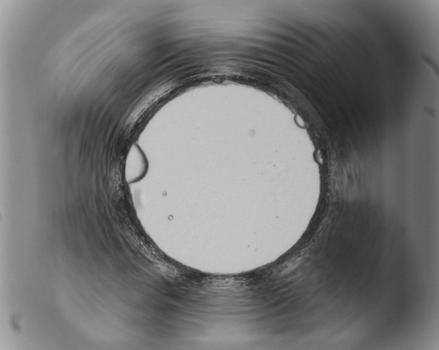 X0000103500826200810241123