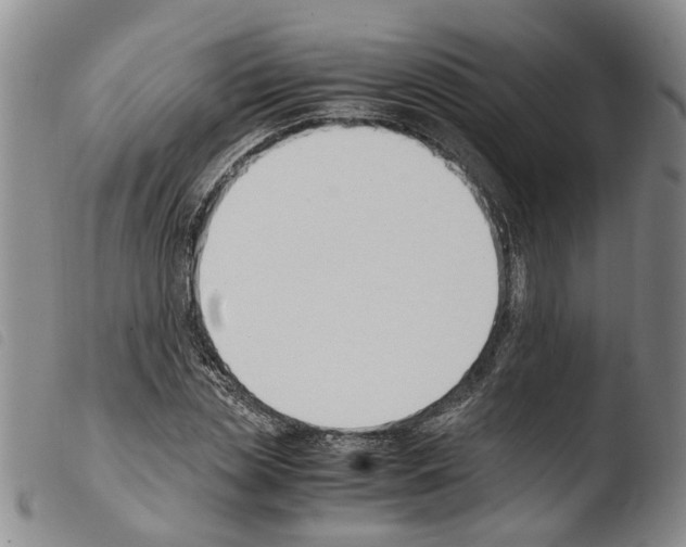 X0000103500829200810241123