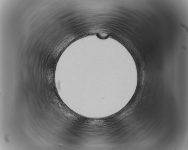 X0000103500833200810241123