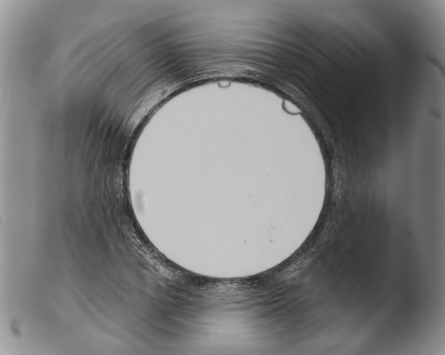 X0000103500834200810241123