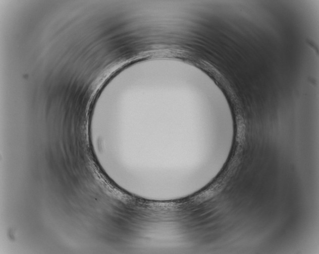 X0000103500836200810241123