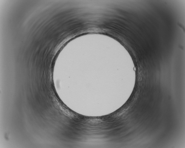 X0000103500837200810241123