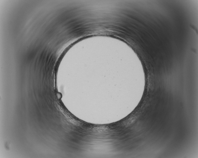 X0000103500838200810241123