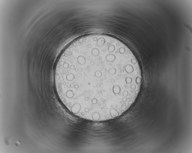 X0000103500839200810241123