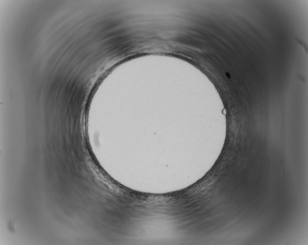 X0000103500840200810241123