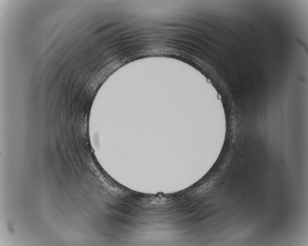 X0000103500841200810241123