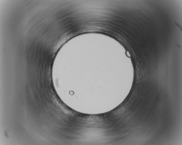 X0000103500842200810241123