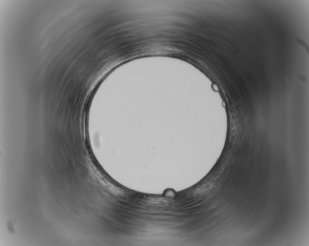 X0000103500843200810241123