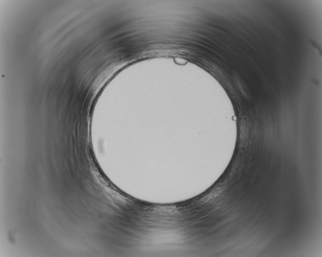 X0000103500844200810241123