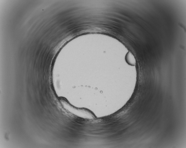 X0000103500845200810241123