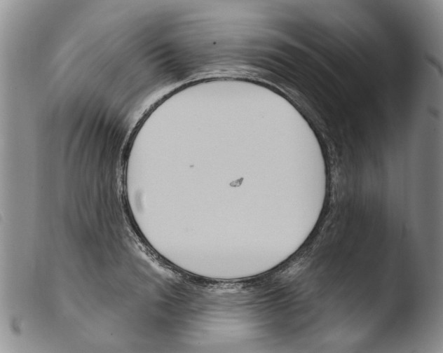 X0000103500846200810241123