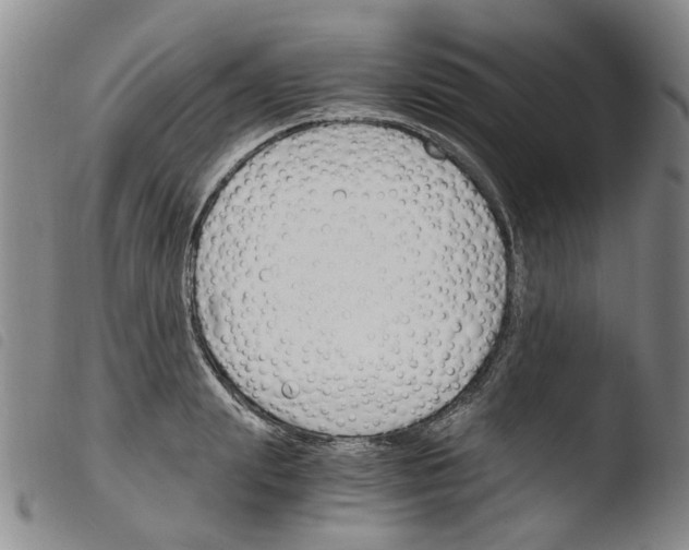 X0000103500847200810241123