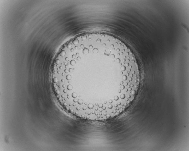 X0000103500848200810241123