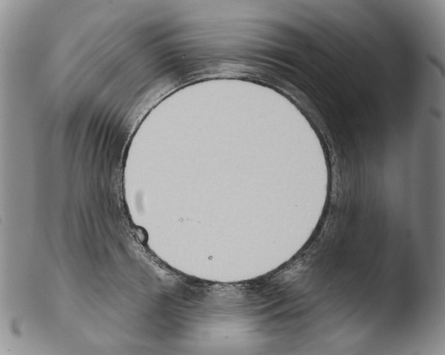 X0000103500850200810241123