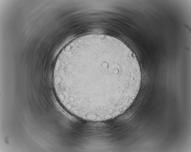 X0000103500851200810241123