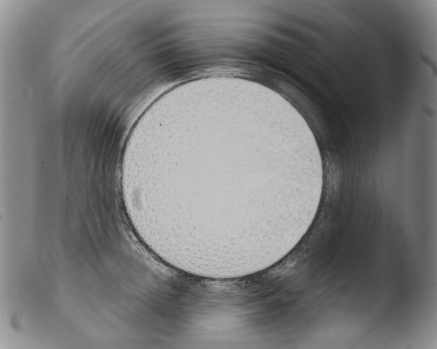 X0000103500852200810241123