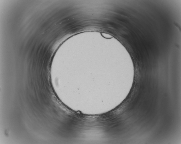 X0000103500854200810241123