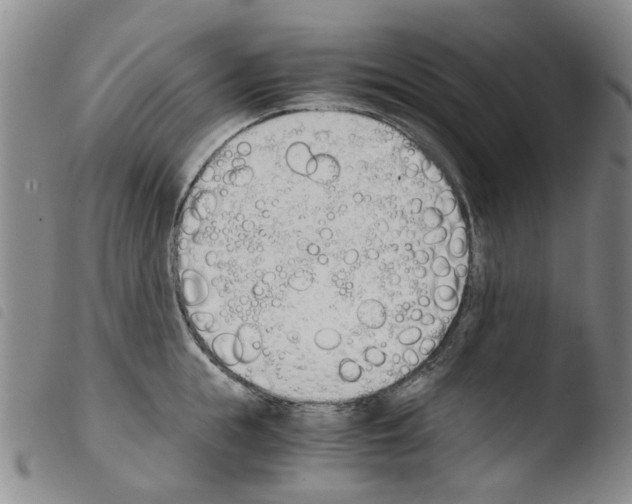 X0000103500855200810241123