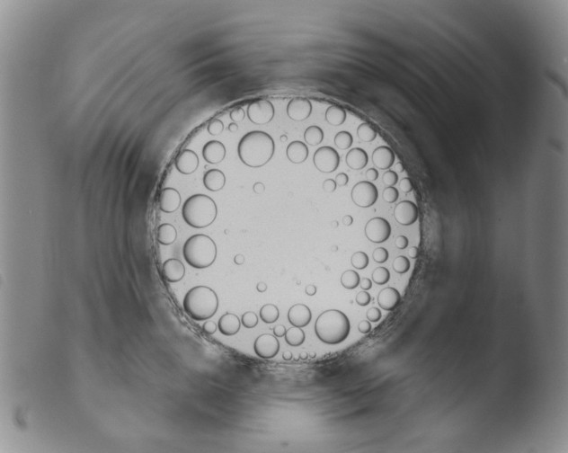 X0000103500856200810241123