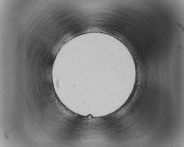 X0000103500857200810241123