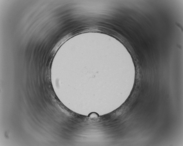 X0000103500858200810241123