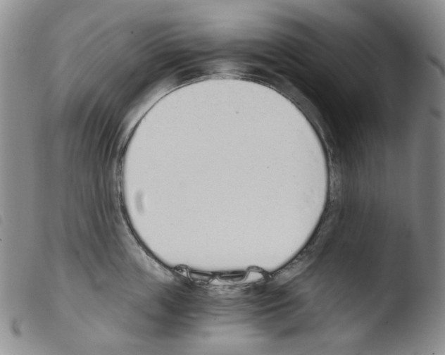 X0000103500859200810241123